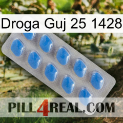 Guj Drug 25 1428 22